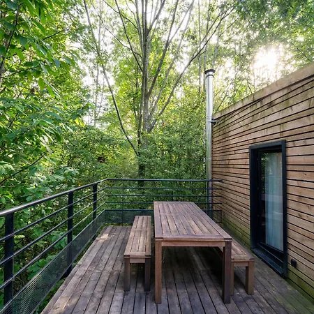 Treetop Tranquility