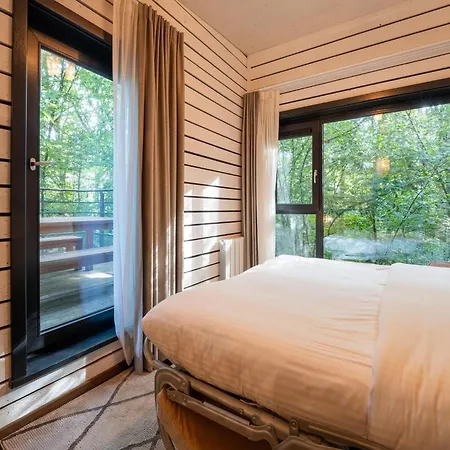 Treetop Tranquility *