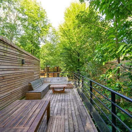 Treetop Tranquility * Antoing