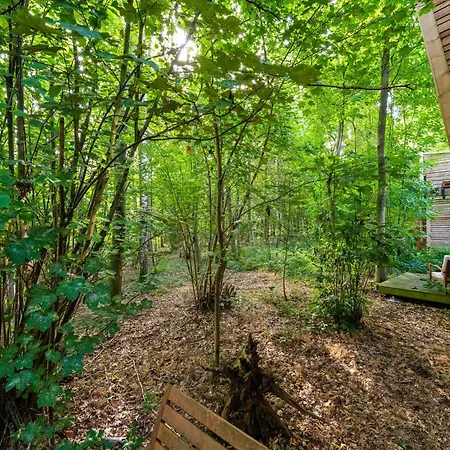 Treetop Tranquility * Antoing