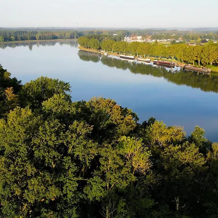 Tatil Evi Treetop Tranquility